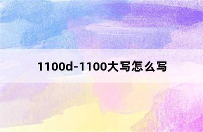 1100d-1100大写怎么写