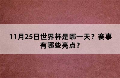 11月25日世界杯是哪一天？赛事有哪些亮点？