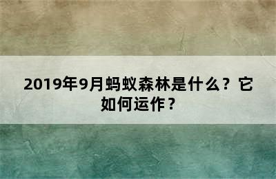 2019年9月蚂蚁森林是什么？它如何运作？