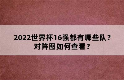 2022世界杯16强都有哪些队？对阵图如何查看？