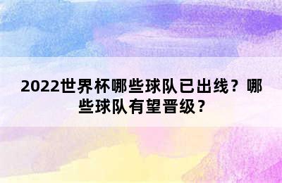 2022世界杯哪些球队已出线？哪些球队有望晋级？