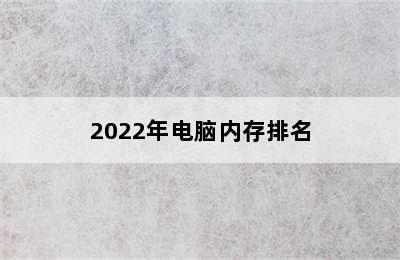 2022年电脑内存排名