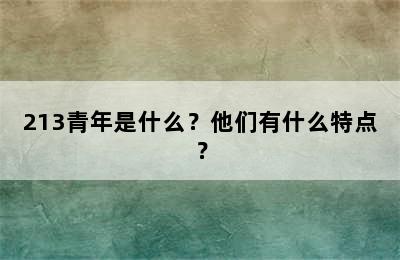 213青年是什么？他们有什么特点？