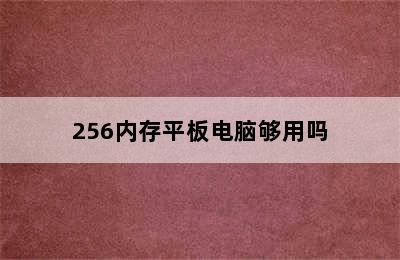 256内存平板电脑够用吗