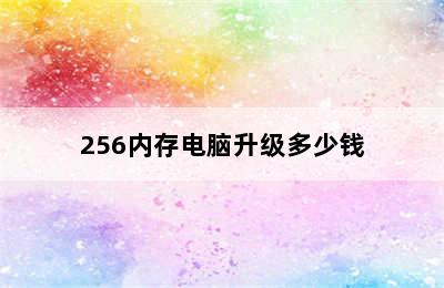 256内存电脑升级多少钱