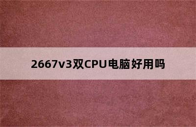 2667v3双CPU电脑好用吗