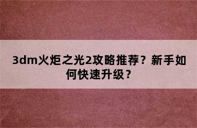 3dm火炬之光2攻略推荐？新手如何快速升级？