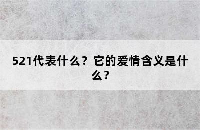 521代表什么？它的爱情含义是什么？