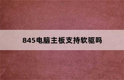 845电脑主板支持软驱吗