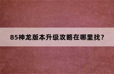 85神龙版本升级攻略在哪里找？