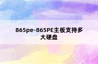 865pe-865PE主板支持多大硬盘