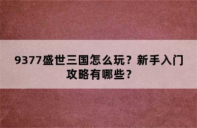 9377盛世三国怎么玩？新手入门攻略有哪些？