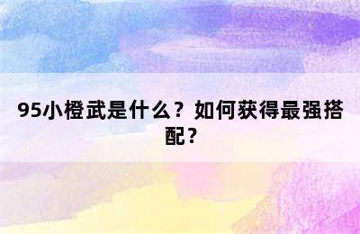 95小橙武是什么？如何获得最强搭配？