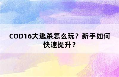 COD16大逃杀怎么玩？新手如何快速提升？