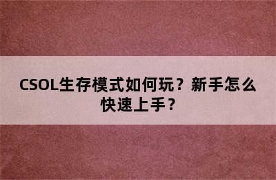 CSOL生存模式如何玩？新手怎么快速上手？