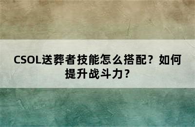 CSOL送葬者技能怎么搭配？如何提升战斗力？