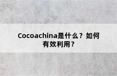 Cocoachina是什么？如何有效利用？