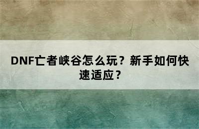 DNF亡者峡谷怎么玩？新手如何快速适应？