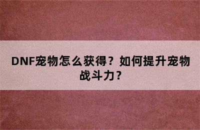 DNF宠物怎么获得？如何提升宠物战斗力？