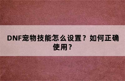 DNF宠物技能怎么设置？如何正确使用？