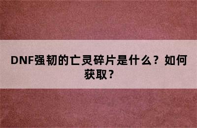 DNF强韧的亡灵碎片是什么？如何获取？