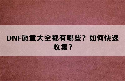 DNF徽章大全都有哪些？如何快速收集？