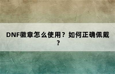 DNF徽章怎么使用？如何正确佩戴？