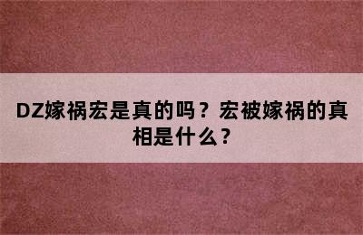 DZ嫁祸宏是真的吗？宏被嫁祸的真相是什么？