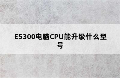 E5300电脑CPU能升级什么型号