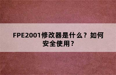 FPE2001修改器是什么？如何安全使用？