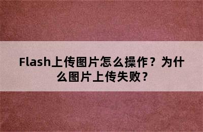 Flash上传图片怎么操作？为什么图片上传失败？