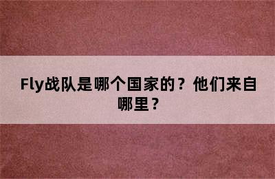 Fly战队是哪个国家的？他们来自哪里？