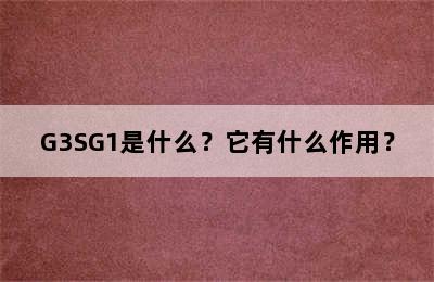 G3SG1是什么？它有什么作用？