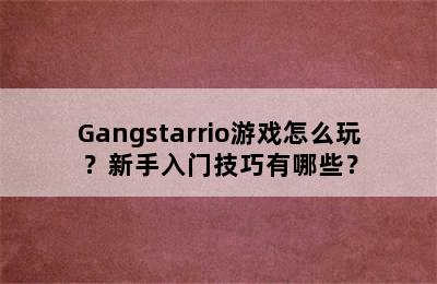 Gangstarrio游戏怎么玩？新手入门技巧有哪些？