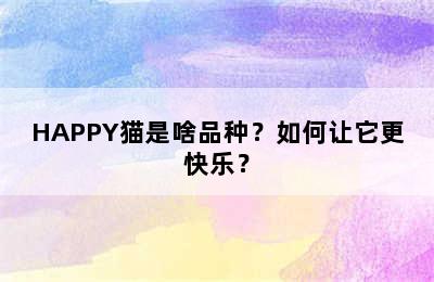 HAPPY猫是啥品种？如何让它更快乐？