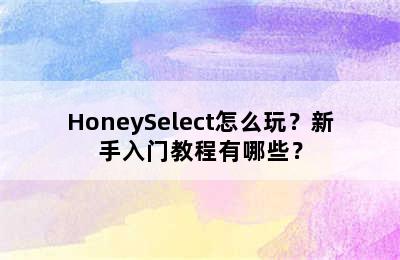 HoneySelect怎么玩？新手入门教程有哪些？