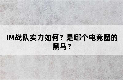 IM战队实力如何？是哪个电竞圈的黑马？