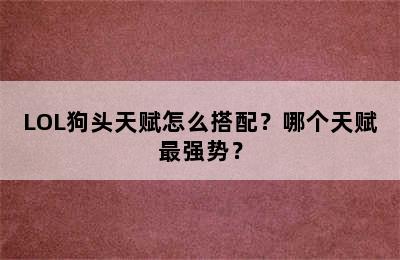 LOL狗头天赋怎么搭配？哪个天赋最强势？