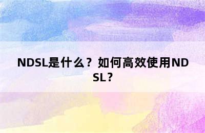 NDSL是什么？如何高效使用NDSL？