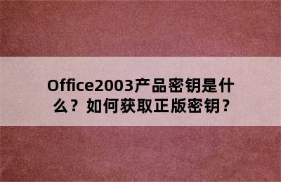 Office2003产品密钥是什么？如何获取正版密钥？