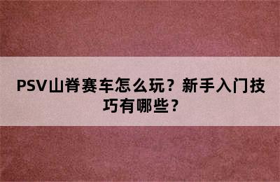 PSV山脊赛车怎么玩？新手入门技巧有哪些？