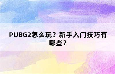 PUBG2怎么玩？新手入门技巧有哪些？