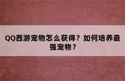 QQ西游宠物怎么获得？如何培养最强宠物？