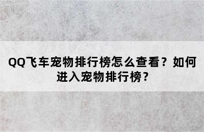 QQ飞车宠物排行榜怎么查看？如何进入宠物排行榜？