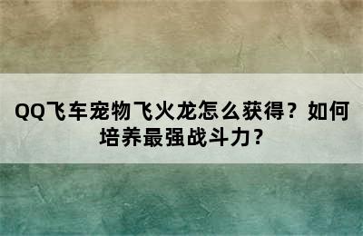 QQ飞车宠物飞火龙怎么获得？如何培养最强战斗力？