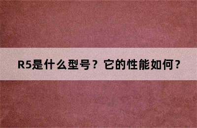 R5是什么型号？它的性能如何？