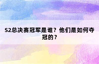 S2总决赛冠军是谁？他们是如何夺冠的？