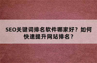 SEO关键词排名软件哪家好？如何快速提升网站排名？