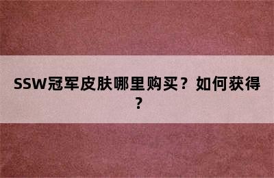 SSW冠军皮肤哪里购买？如何获得？