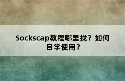 Sockscap教程哪里找？如何自学使用？